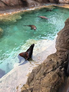 樂觀旅游珠海長隆體驗師第一場活動圓滿結(jié)束