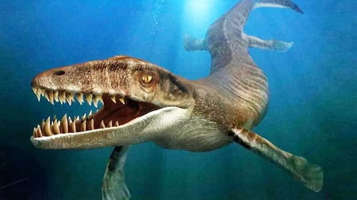 4種可匹敵巨齒鯊的海洋生物,強悍的巨齒鯊究竟會被誰打敗