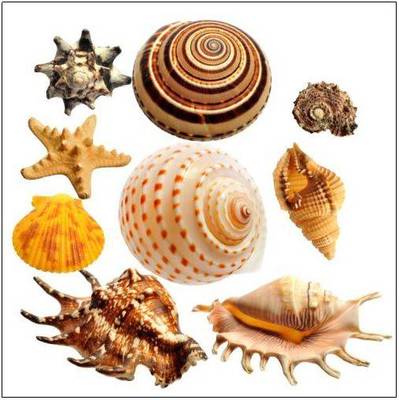 第三期生物興趣小組 “興趣主題課”來了!