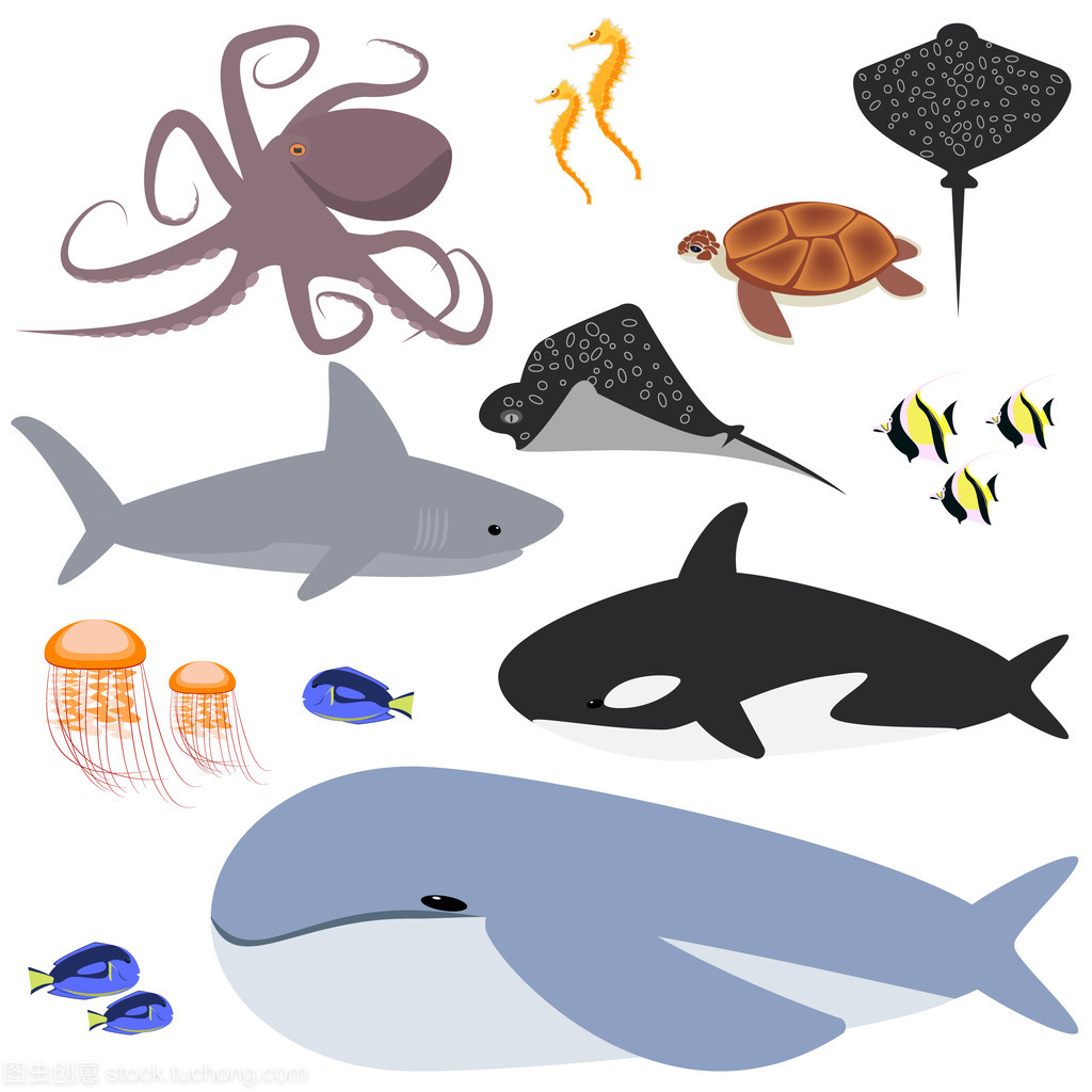 海洋,海洋收集的動物,魚