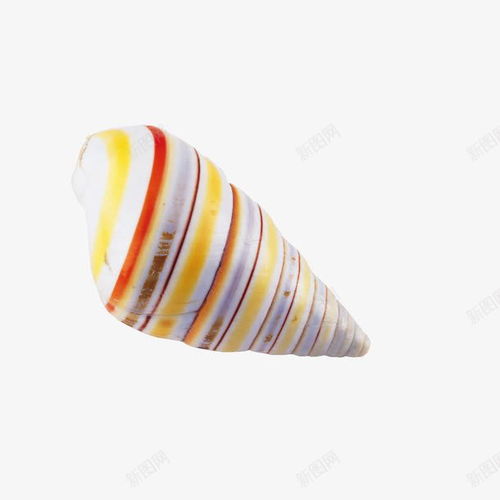 海鮮海洋生物水產(chǎn) 創(chuàng)意素材 海鮮水產(chǎn)素材