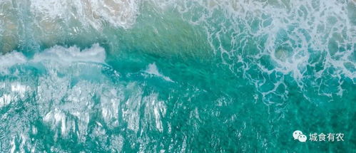 海洋 或?yàn)槿蚣Z食體系提供了一個(gè)可行解決方案