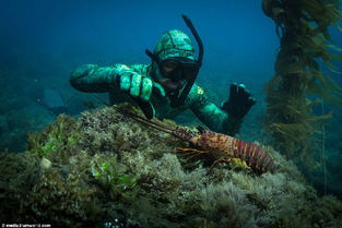 中國(guó)浙江網(wǎng)上技術(shù)市場(chǎng)