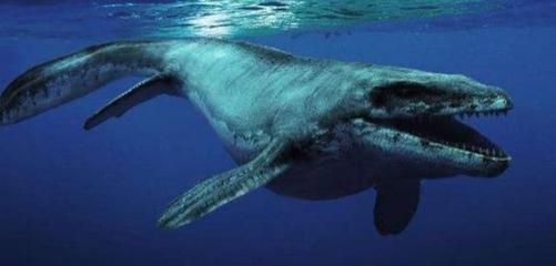 潛艇在深海工作時(shí),不小心遇到海洋巨型生物該怎么辦?