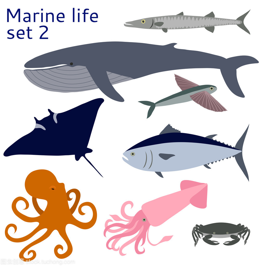 魚(yú)類和其他海洋生物
