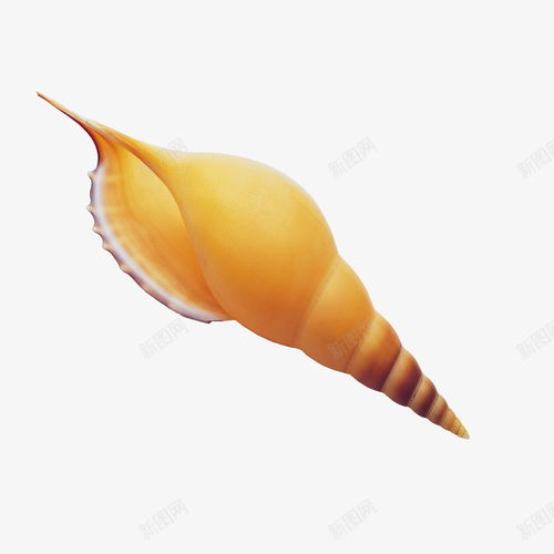 海鮮海洋生物水產 創(chuàng)意素材 海鮮水產素材