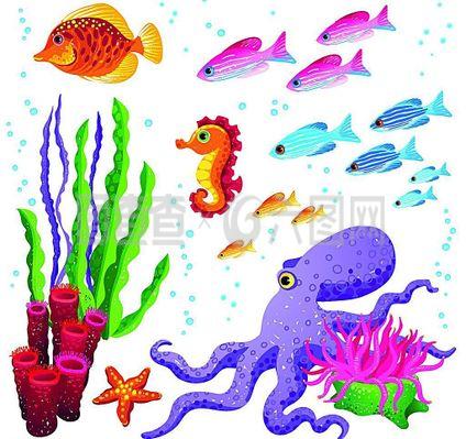 海洋生物圖片