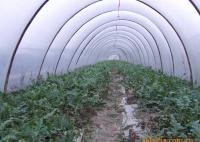 肥,多肽沖施肥,海洋生物沖施肥,瓜果沖施肥[廠家直供]_化肥_世界工廠網(wǎng)中國產(chǎn)品信息庫