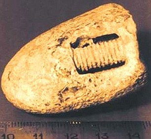 1998年,俄羅斯發(fā)現(xiàn)一枚約3億年前的 螺絲釘 ,長什么樣