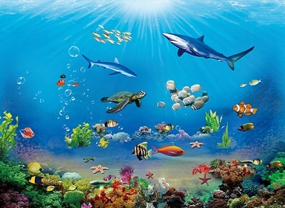 四季金輝:對(duì)話海洋生物 探秘神奇海底