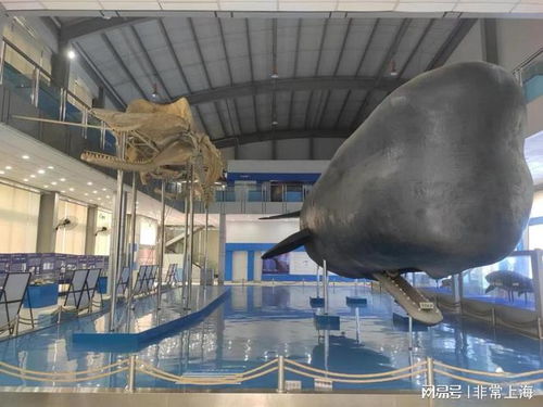 探尋技能與文化的獨(dú)特魅力 上海楊浦區(qū)博物館之旅